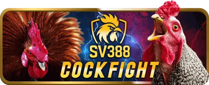 Hình ảnh minh họa bảo mật và hỗ trợ khách hàng tại Mostbet Casino