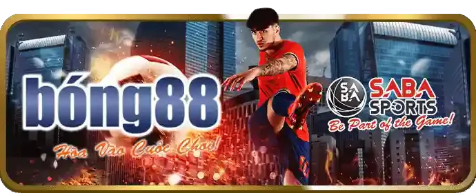Đá Gà Cựa Dao Mostbet